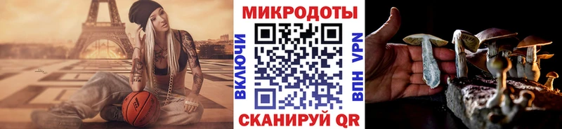 KRAKEN ССЫЛКА  Великий Устюг  Псилоцибиновые грибы прущие грибы 